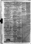 Carmarthen Weekly Reporter Saturday 06 May 1876 Page 2