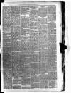 Carmarthen Weekly Reporter Saturday 20 May 1876 Page 3