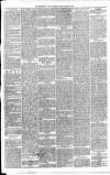 Carmarthen Weekly Reporter Friday 25 August 1876 Page 3