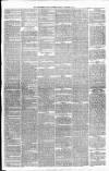 Carmarthen Weekly Reporter Friday 24 November 1876 Page 3