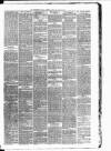 Carmarthen Weekly Reporter Friday 12 January 1877 Page 3