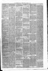 Carmarthen Weekly Reporter Friday 23 February 1877 Page 3