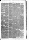 Carmarthen Weekly Reporter Friday 09 March 1877 Page 3