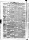 Carmarthen Weekly Reporter Friday 16 March 1877 Page 2