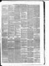 Carmarthen Weekly Reporter Friday 16 March 1877 Page 3