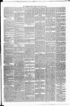 Carmarthen Weekly Reporter Friday 23 March 1877 Page 3
