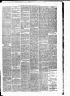 Carmarthen Weekly Reporter Friday 30 March 1877 Page 3