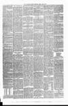 Carmarthen Weekly Reporter Friday 01 June 1877 Page 3