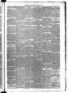 Carmarthen Weekly Reporter Friday 29 June 1877 Page 3