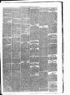 Carmarthen Weekly Reporter Friday 05 October 1877 Page 3