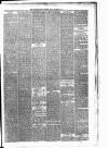 Carmarthen Weekly Reporter Friday 02 November 1877 Page 3