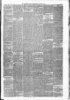 Carmarthen Weekly Reporter Friday 11 January 1878 Page 3