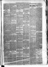 Carmarthen Weekly Reporter Friday 18 January 1878 Page 3