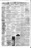 Carmarthen Weekly Reporter Friday 25 January 1878 Page 2