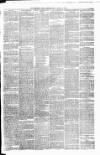 Carmarthen Weekly Reporter Friday 25 January 1878 Page 3
