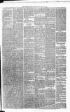 Carmarthen Weekly Reporter Friday 01 February 1878 Page 3