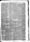 Carmarthen Weekly Reporter Friday 15 February 1878 Page 3