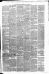 Carmarthen Weekly Reporter Friday 22 February 1878 Page 3