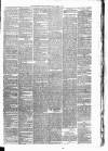 Carmarthen Weekly Reporter Friday 01 March 1878 Page 3