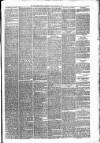Carmarthen Weekly Reporter Friday 15 March 1878 Page 3