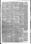 Carmarthen Weekly Reporter Friday 22 March 1878 Page 3