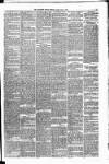 Carmarthen Weekly Reporter Friday 10 May 1878 Page 3