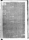 Carmarthen Weekly Reporter Friday 17 May 1878 Page 3