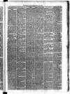 Carmarthen Weekly Reporter Friday 24 May 1878 Page 3