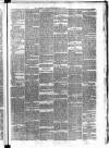Carmarthen Weekly Reporter Friday 12 July 1878 Page 3
