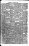 Carmarthen Weekly Reporter Friday 19 July 1878 Page 3