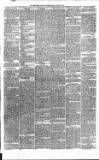 Carmarthen Weekly Reporter Friday 30 August 1878 Page 3