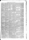 Carmarthen Weekly Reporter Friday 04 October 1878 Page 3