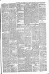 Carmarthen Weekly Reporter Friday 21 February 1879 Page 3