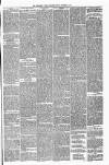 Carmarthen Weekly Reporter Friday 05 December 1879 Page 3