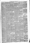 Carmarthen Weekly Reporter Friday 11 June 1880 Page 3