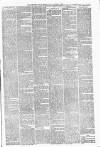 Carmarthen Weekly Reporter Friday 12 November 1880 Page 3