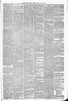 Carmarthen Weekly Reporter Friday 04 March 1881 Page 3