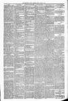 Carmarthen Weekly Reporter Friday 11 March 1881 Page 3