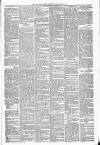 Carmarthen Weekly Reporter Friday 18 March 1881 Page 3
