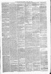 Carmarthen Weekly Reporter Friday 17 June 1881 Page 3