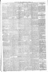 Carmarthen Weekly Reporter Friday 18 November 1881 Page 3