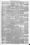 Carmarthen Weekly Reporter Friday 09 June 1882 Page 3