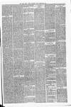 Carmarthen Weekly Reporter Friday 22 February 1884 Page 3