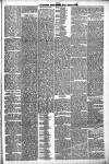 Carmarthen Weekly Reporter Friday 26 February 1886 Page 3