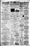 Carmarthen Weekly Reporter Friday 01 June 1888 Page 2