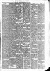 Carmarthen Weekly Reporter Friday 17 May 1889 Page 3