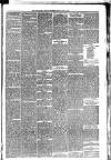 Carmarthen Weekly Reporter Friday 13 May 1892 Page 3