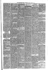 Carmarthen Weekly Reporter Friday 10 March 1893 Page 3