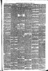 Carmarthen Weekly Reporter Friday 10 November 1893 Page 3