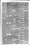 Carmarthen Weekly Reporter Friday 08 December 1893 Page 3